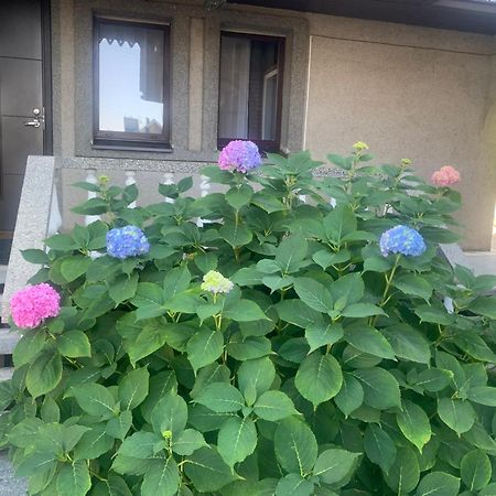 카우나스 Lampedis 아파트 외부 사진